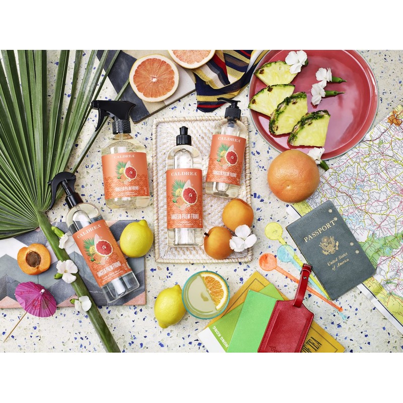 Caldrea Multi-surface CounterTop Spray Cleaner, Made With Vegetable Protein Extract,