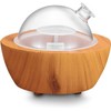 280ml Glass Essential Oil Diffuser Wood Grain Base Air Aroma