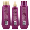 INFUSIUM, Shampoo + Conditioner + Leave in Treatment, Moisturize and