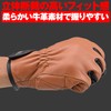 Daytona HBG-109 17745 Motorcycle Gloves, Large, Cowhide Leather, Standard, Touchscreen