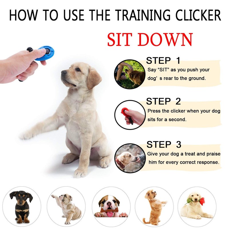 Winod Dog Training Clickers with Wrist Strap-2 Pack(Black+New Blue)