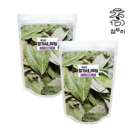 Chamdoori leaves 600g (300g x 2) (domestic) / 참두리 참가시나무잎 600g(300g x 2) (국내산)