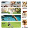 Pelota De Fútbol Para Perros Con Correas Juguete Interactiva Futbol