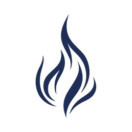 Tattwo.me 2 Week Waterproof Temporary Plant Tattoos - Flame of Memory - EU Compliance - Vegetable Ink - Tattoo Pad Size: 5 x 5cm (P0236)