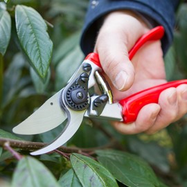 Darlac Expert Bypass Pruner with Rotating Handle – Comfortable Garden Pruners for Prolonged Use – Razor Sharp SK5 High Carbon Steel Blade