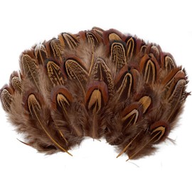 100pcs Brown Pheasant Feathers 2-3 Inches Fluffy Spotted Plumage Feather for Dream Catcher Crafts Sewing Clothing Decoration