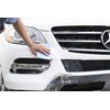 BUGS OUT Bug Removing Sponge (6 Pack) - No Scratch