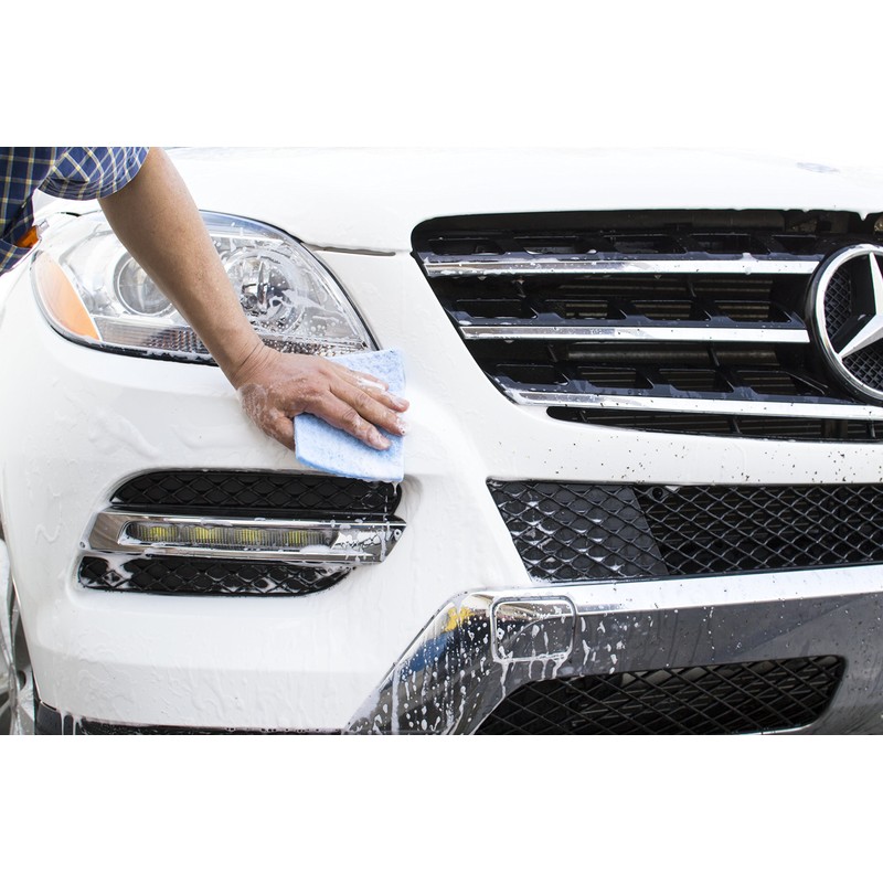 BUGS OUT Bug Removing Sponge (6 Pack) - No Scratch