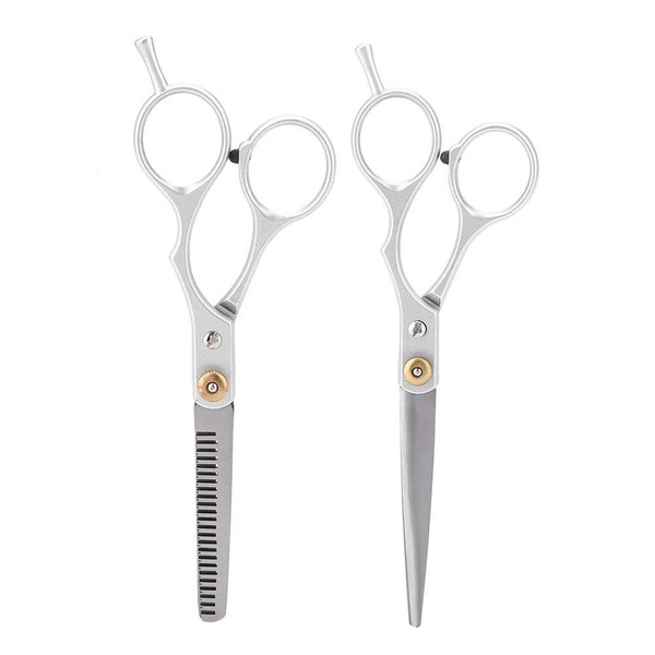 EECOO Professional Hair Cutting Scissors Set, 2 Pieces Stainless Steel Hair Cutting Hairdressing Scissors and Thinning Scissors Scissors Hair Cutting Women and Men
