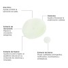 Oxidermic Toner - Tónico Facial Anti Imperfecciones - 95 Ml