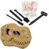 Natural State Novelty Dino Dig Kit for Kids - Dinosaur