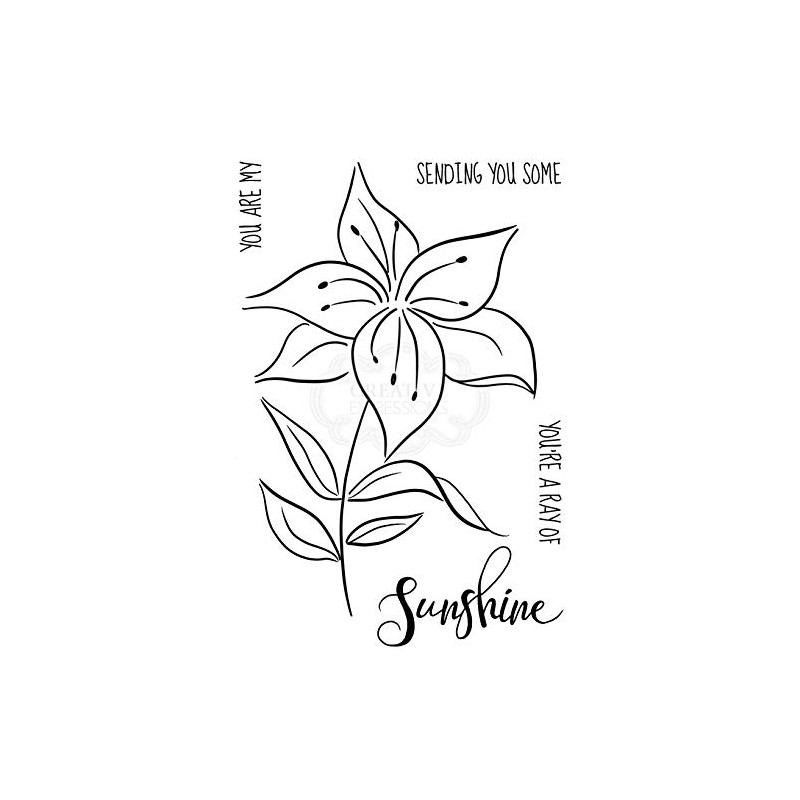 Jane Gill - Clear Singles Lily Sketch - Stamp, transparent