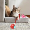 Interactive Cat Ball Toy | Light Up Chirping Cat Interactive