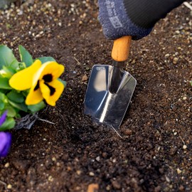 Garden Helper Garden Trowel with Measurements for Planting (Wide), Garden Hand Shovel Japanese Stainless Steel, Wooden Handle, Made in Japan