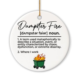 MAIANEY Where I Work Dumpster Fire Ornament 2024 3" Definition of Dumpster Fire Ornaments for Christmas Tree Funny Meme Chirstmas Workplace Coworker Gag Gifts Decorations Ceramic Hanging Ornaments