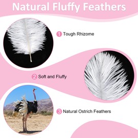 20 pcs Ostrich Feathers, Natural Feathers Plume, 8-10 Inch Craft Feathers, White Ostrich Feathers Large for Wedding Party Home Table Decoration DIY Crafts