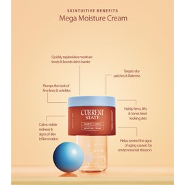 CURRENT STATE Bamboo + Amino Mega Moisturizer Face Cream - Deeply Nourishing Barrier Cream for Dry, Flaky Skin- Ultimate Replenishing Face Moisturizer with Superior Plant Oils, 1.7 oz.