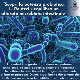 Probiotische Milchsäure für Kinder, Damen und Herren, laktosefrei, für Darm mit Lactobacillus Reuteri Reulat Tropfen Koliken Neugeborene 7ml Agips