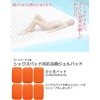 Six Pad Compatible with Abs Fit Gel Sheets (Abs Only),