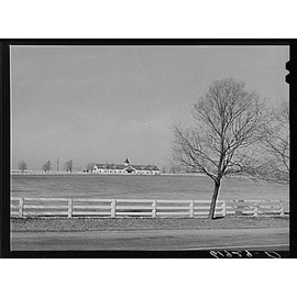 HistoricalFindings Photo: Bluegrass Country,Fayette County,Kentucky,KY,Farm Security Administration,FSA,4
