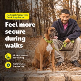 PetSafe Martingale Dog Collar with Quick Snap Buckle - No Pull Dog Collar for Walking Control - Gentle Correction - Durable Nylon Material - Adjustable No-Slip Collar - Red - Medium - 1 Inch Wide