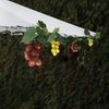 AMZSTAR Solar Grape String Light Outdoor Waterproof 80LED Grape Vine