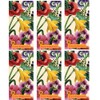 Boston International Bulk 4-Ply Pocket Tissues, Bundle of 6 Packs