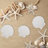 TaoQ C 15 PCS Starfish and Scallop Shells, 5cm-10cm Natural