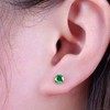 Limerencia Titanium Stud Earrings for Men and Women, G23 Implant