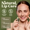 Bálsamo labial orgánico USDA de Earth's Daughter, paquete de 4