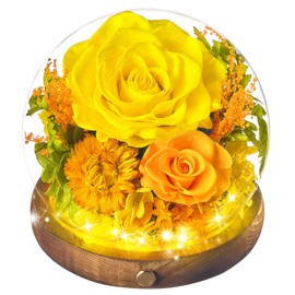 Beaulasting Roses Flower Globe with Preserved Flowers, Eternal Rose in Glass, Long-Lasting Real Flowers, Floral Gift for Mom, Grandma, Wife, Sister, Friend Birthday Mothers Day, Yellow