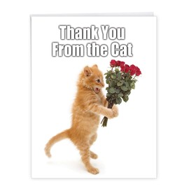 NobleWorks Jumbo Humorous Thank You Greeting Card (Cat) 8.5 x 11 Inch with Envelope (1 Pack) Oversize Jumbo From the Cat J9116