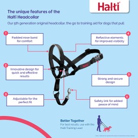 HALTI Headcollar - To Stop Your Dog Pulling on the Lead. Adjustable, Reflective and Lightweight, with Padded Nose Band. Dog Training Anti-Pull Collar for Small Dogs (Size 1, Burnt Orange)
