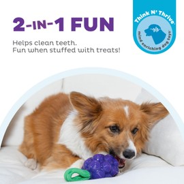 Outward Hound Dental Grapes Dog Toy & Treat Stuffer, 6″ x 3″ Grape-Scent Interactive Chew for Dogs, Helps Clean Teeth, Promote Healthy Gums & Mental Enrichment, Reduce Boredom & Support Dental Health