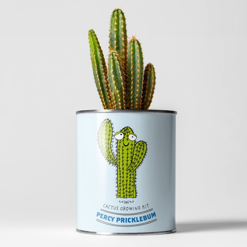 Cactus Luxury Grow Kit, The Plant Gift Co. Percy Pricklebum