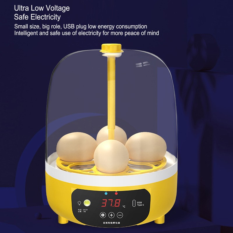 4 Eggs Incubator Temperature Humidity Control Visual Low Noise Energy