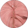 Akixen 久遠 舞珠 くおん ましゅ ウィッグ コスプレ アニメ ヘアネット ファッション