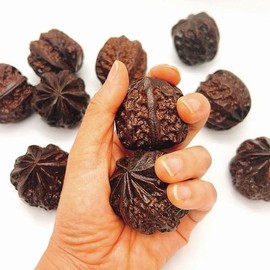 Walnut-shaped Hand Acupressure Massage Ball Hand Acupressure Device Gift for Parents 1P-WFGUXPC / 호두 모양 손 지압마사지 볼 손지압기 부모님 선물 1P-WFGUXPC