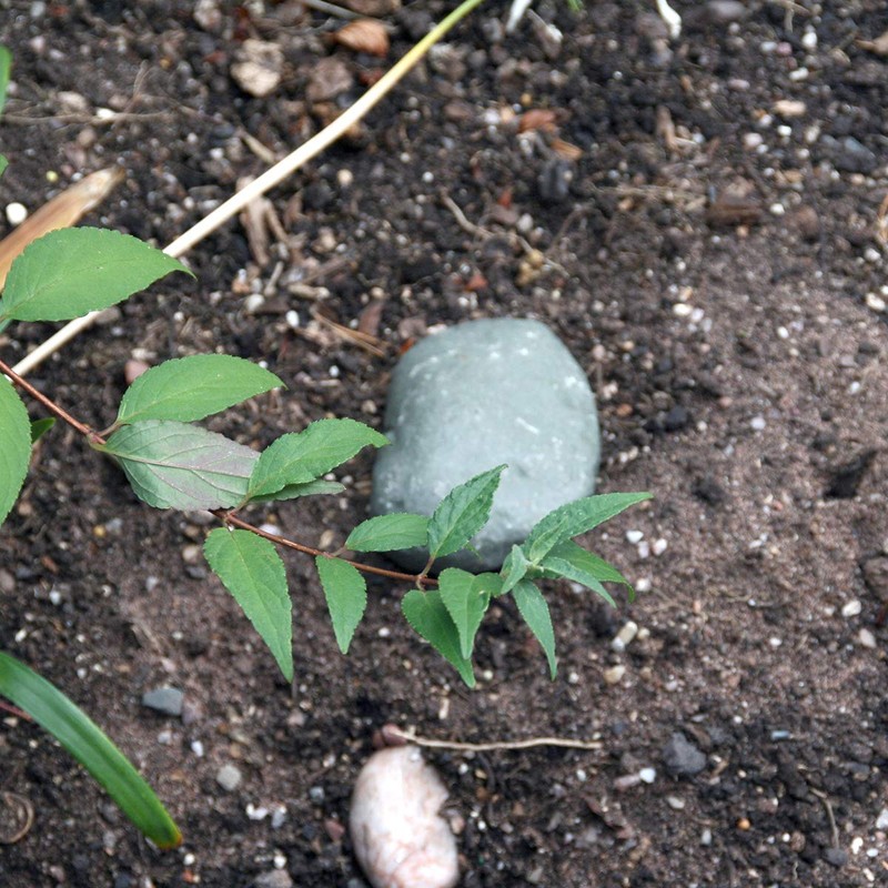 BIRD Key Rock - Fake rock hidden storage key hider