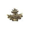 Januel Oak Leaves Boar Trophy Decor - Tooth and Boar