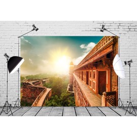 Loccor Fabric 6x4ft Agra Fort Backdrop Agra World Heritage Monument India Landmark Mountain Sunrise Photography Background Travel Party Decorations Portrait Photoshoot Booth Studio Props Wallpaper