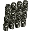 Vanlison 1218 Drop-In Valve Springs, 16 Pack Beehive Springs Set