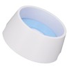 Pet Slow Water Feeder Splash Proof Prevent Slip Raised Water
