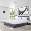 LYMA Bedding Pillow Cases 2 Pack, Ultra Soft Breathable Housewife