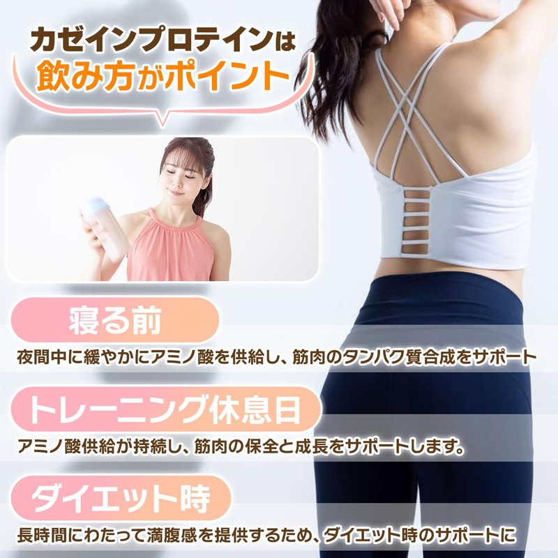 NICHIGA(ニチガ) カゼイン ミセル プロテイン 500ｇ [牛成長ホルモン不使用] Casein Protein 乳化剤甘味料香料不使用 プレーン味