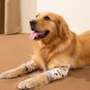 Dog Front Leg Joint Protector Sleeve,Elbow Sleeves with Mesh Pad