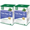 BELL Prostate EZEE Flow Tea (120 Grams) 2-Pack