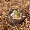 Top Collection 4202 Sleeping Fairy Baby with Owl in Nest