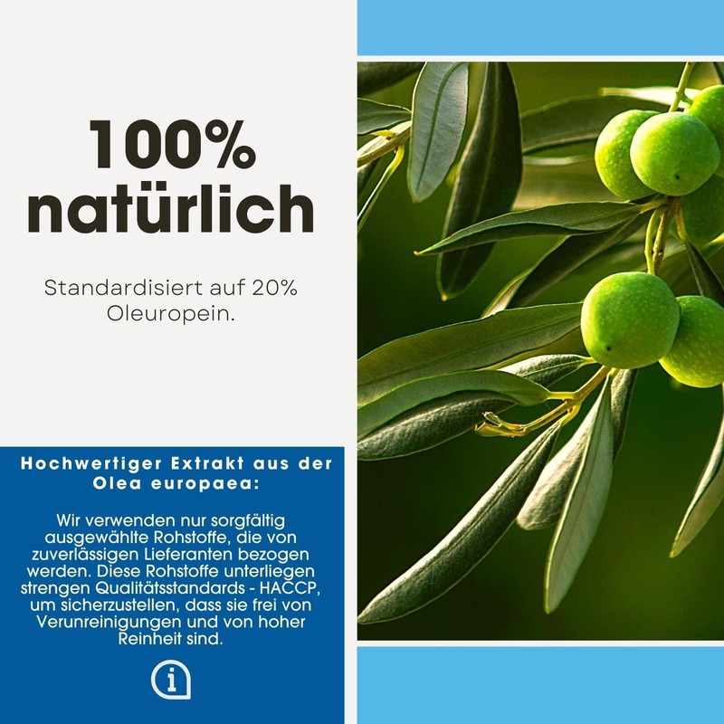 Olive Leaf Extract 500mg, Standardized to 20% Oleuropein, 120 Capsules