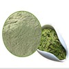 Green Tea Extract Powder 1kg
